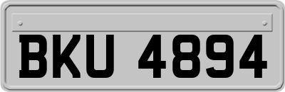 BKU4894