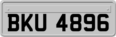 BKU4896