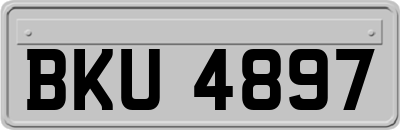 BKU4897