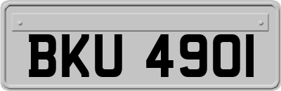 BKU4901