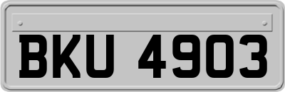 BKU4903
