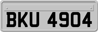 BKU4904