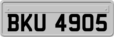 BKU4905