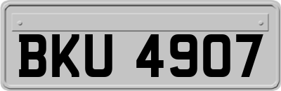 BKU4907