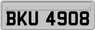 BKU4908