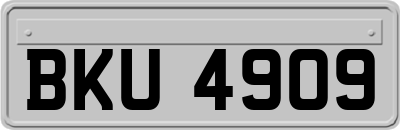 BKU4909