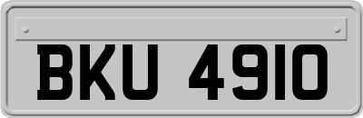 BKU4910