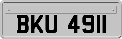 BKU4911