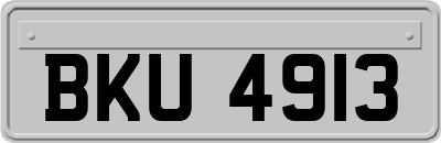 BKU4913