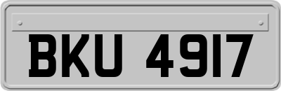 BKU4917