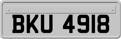 BKU4918