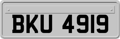 BKU4919