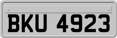 BKU4923