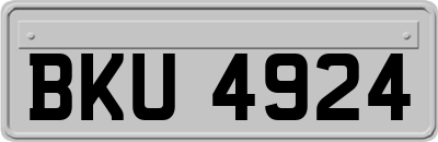 BKU4924
