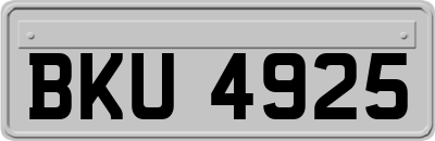 BKU4925