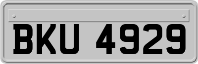 BKU4929