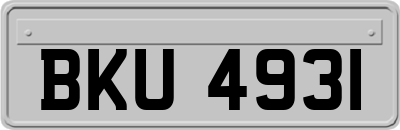 BKU4931