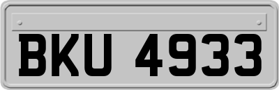 BKU4933
