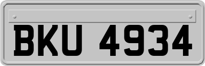 BKU4934