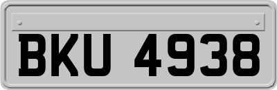 BKU4938