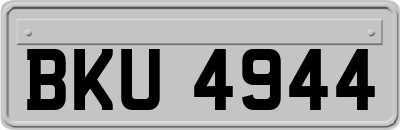 BKU4944