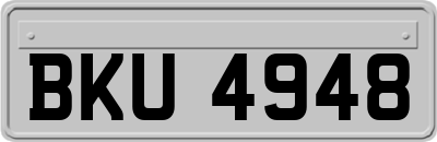 BKU4948