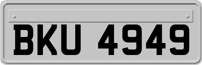 BKU4949