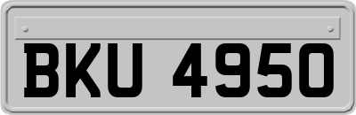 BKU4950