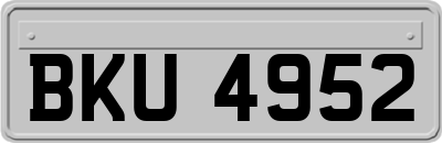 BKU4952