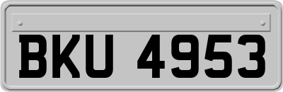 BKU4953