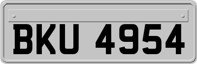 BKU4954