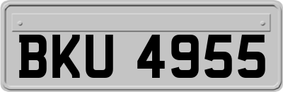 BKU4955