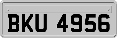 BKU4956