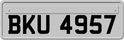 BKU4957