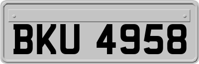 BKU4958