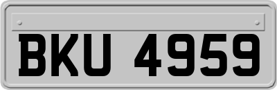 BKU4959