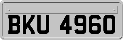 BKU4960