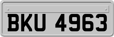 BKU4963