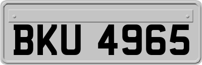 BKU4965