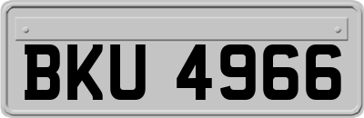 BKU4966