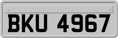 BKU4967