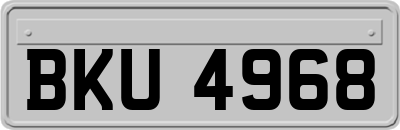 BKU4968