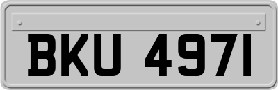 BKU4971