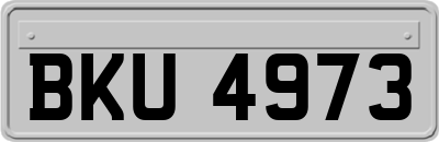 BKU4973