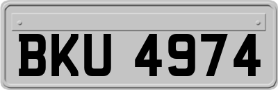 BKU4974