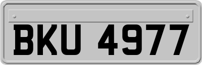 BKU4977