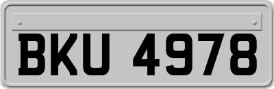 BKU4978