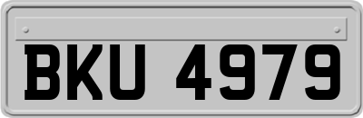 BKU4979