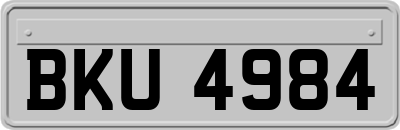 BKU4984