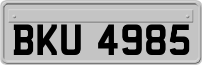 BKU4985